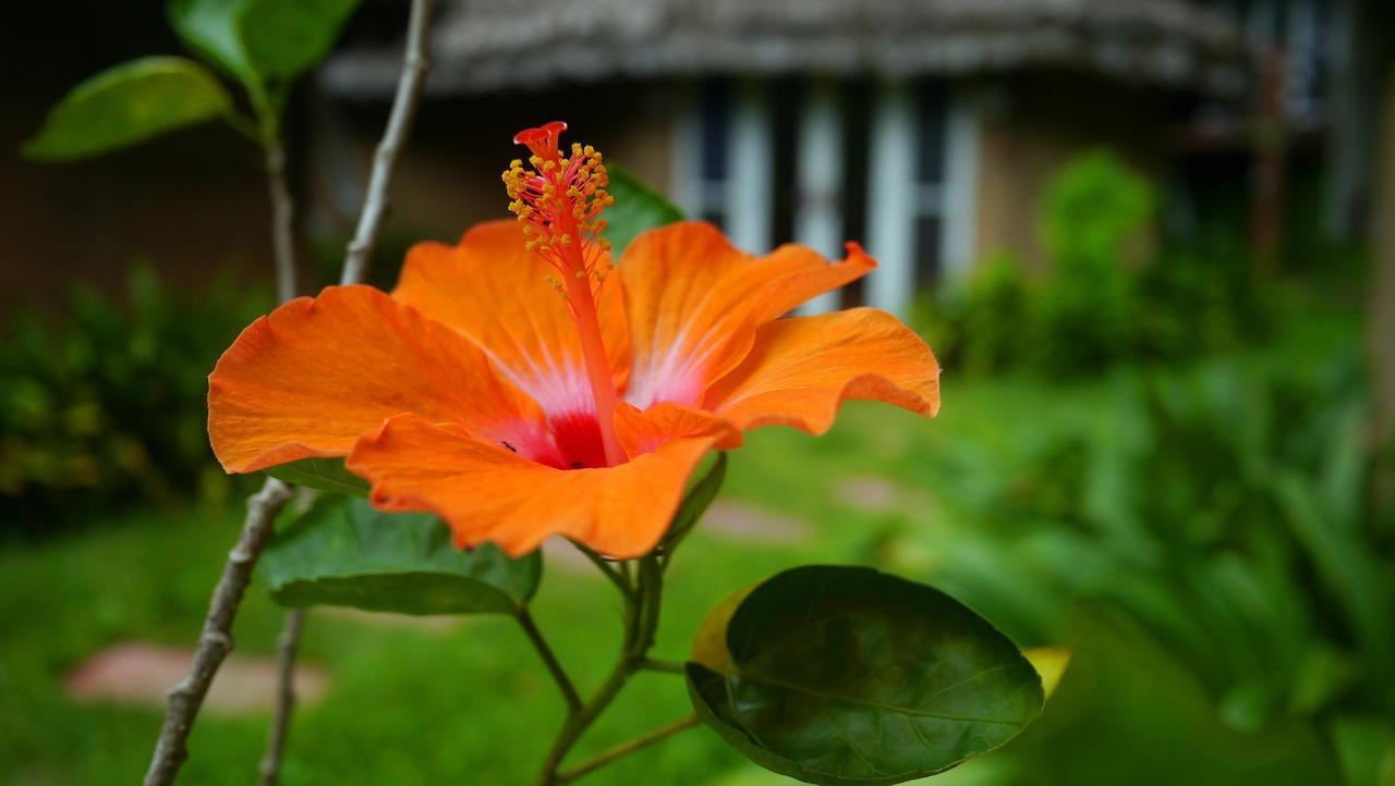 Pho Rak Nah Pai Hotel Buitenkant foto